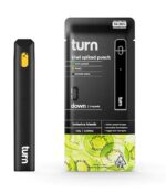 Turn Carts Disposable – Kiwi Spiked Punch