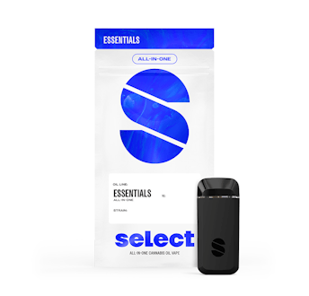 2G Berry G | Briq Disposable