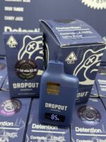 Dropout Academy 2G Disposable