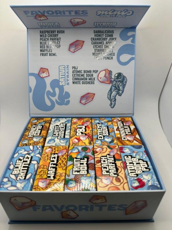 Favorites Minis Disposable 2G