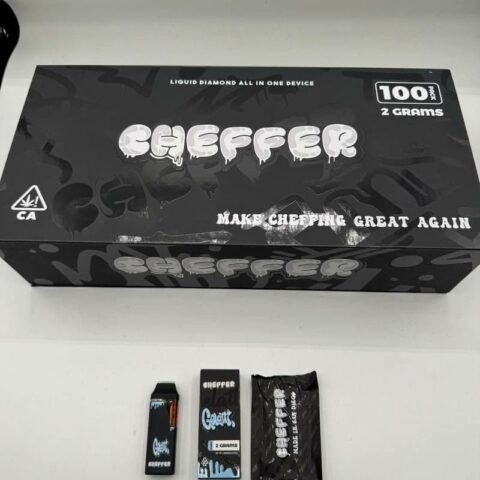 WhatsApp Image 2025-12-12 at 2.51.51 AM (1)